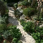 Mediterraneo Kaprije