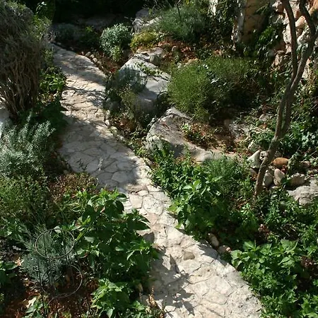 Mediterraneo Kaprije