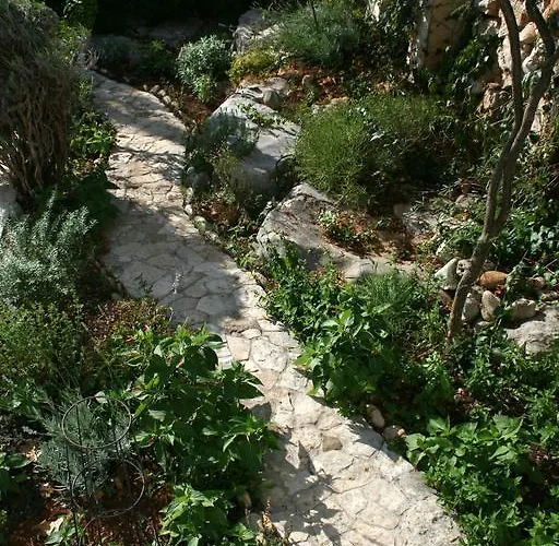 Mediterraneo Kaprije